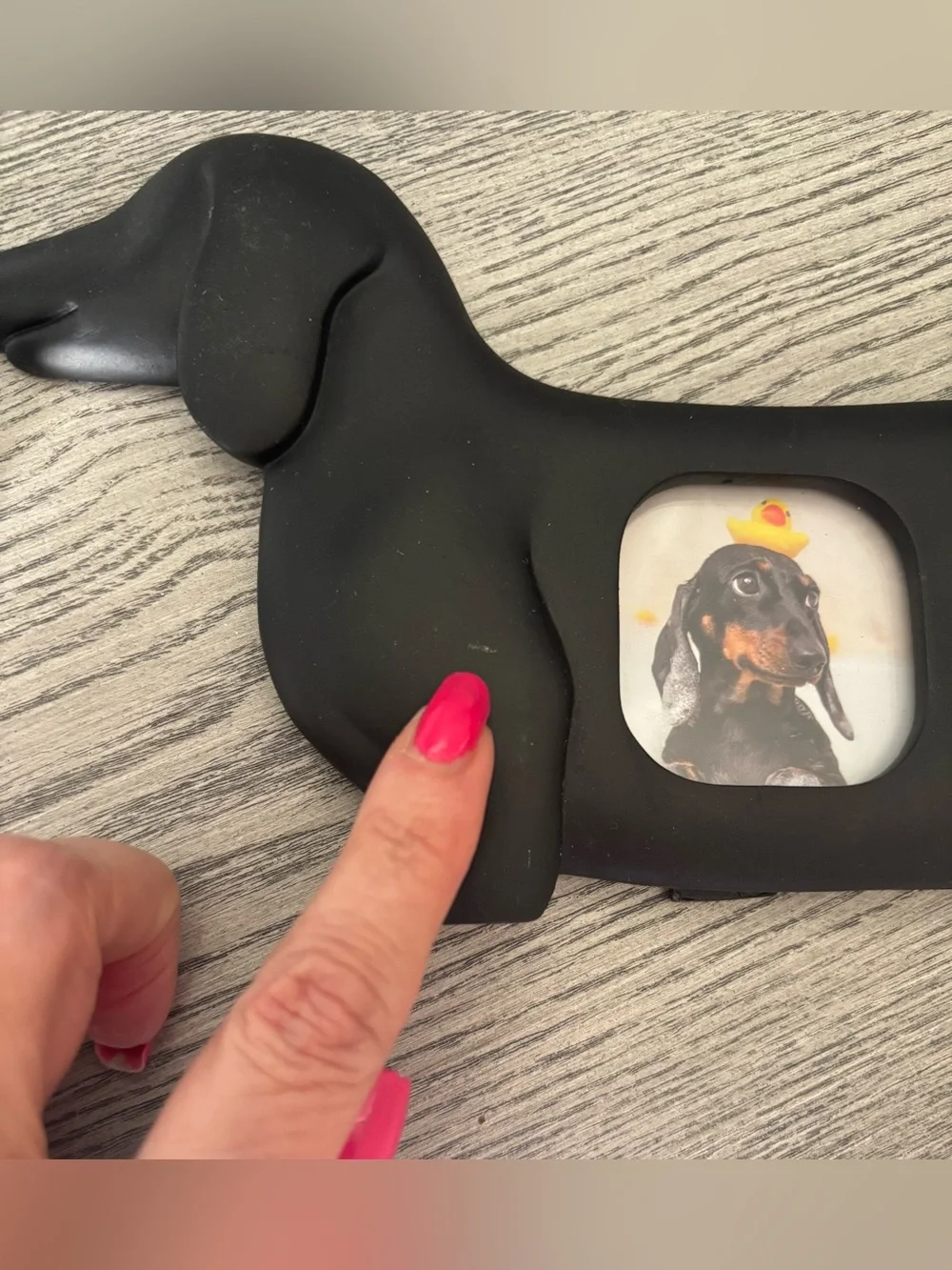 New Dachshund Dog Picture Frame
